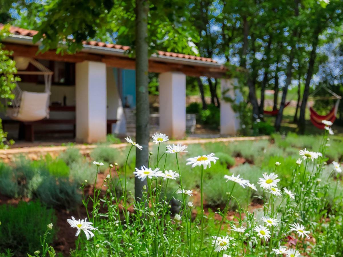 Holiday Home Country House D&D By Interhome Pula Eksteriør billede